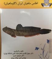 اطلس ماهیان ایران (گاو ماهیان)