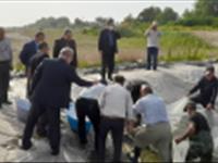 حضور مسئولین سازمان شیلات ایران و نماینده پژوهشکده در مراسم رهاسازی بچه ماهیان سفید
