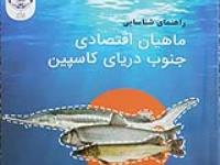 تالیف کتاب راهنمای شناسايي ماهيان اقتصادي جنوب درياي كاسپين توسط اعضای هیات علمی دانشگاه گیلان و پژوهشکده آبزی پروری آبهای داخلی