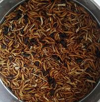 کشت انبوه و پرورش کرم های  mill worms و super worms در ایستگاه تحقیقات تخصصی تغذیه و غذای زنده پژوهشکده آبزی پروری آبهای داخلی کشور