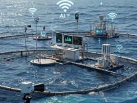 حضور پژوهشکده آبزی پروری آبهای داخلی کشور در جلسه کمیته تخصصی هوشمندسازی در کشاورزی استان گیلان