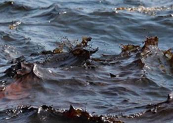 بررسی هیدروکربورهای نفتی در حوضه ساحلی دریای خزر از آستارا تا رامسر(76-1375) 