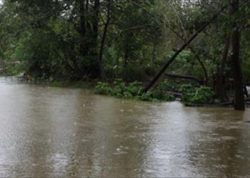 بررسی پدیده خودپالایی در رودخانه پیربازار