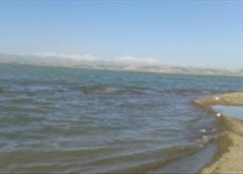  ماهی شناسی سد مخزنی حسنلو آذربایجان غربی